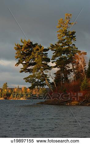 Stock Photography - Autumn Colors at Lake of the Woods, Ontario, Canada. Fotosearch