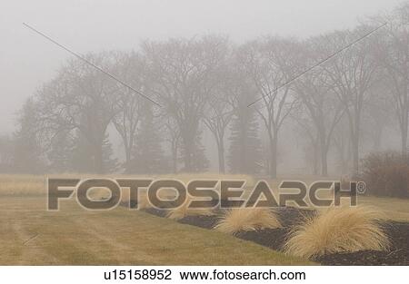 Stock Image - autumn fog in Assiniboine Park, Winnipeg, Manitoba. Fotosearch