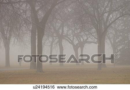 autumn fog in Assiniboine Park, Winnipeg, Manitoba View Large Photo Image Stock Photograph - autumn fog in Assiniboine Park, Winnipeg, Manitoba. Fotosearch