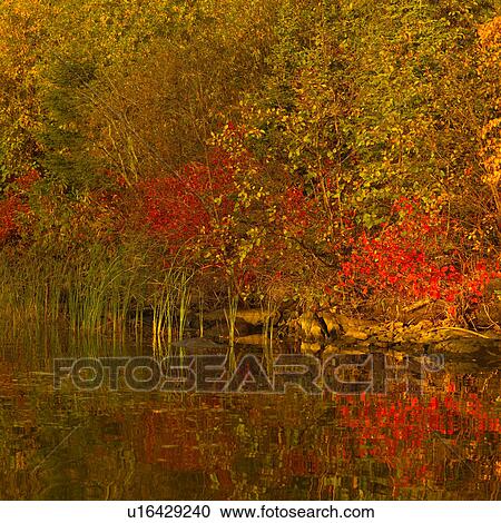 Stock Image - Bright Lake Autumn Colors. Fotosearch