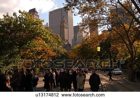 Central Park, New York City View Large Photo Image Stock Image - Central Park, New York City. Fotosearch
