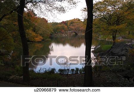 Stock Photo - Central Park, New York City. Fotosearch