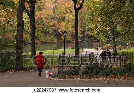 Central Park, New York City View Large Photo Image Stock Photo - Central Park, New York City. Fotosearch