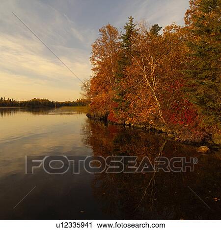 Colourful Trees at Edge of Lake View Large Photo Image Stock Image - Colourful Trees at Edge of Lake. Fotosearch