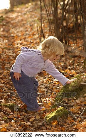 family life at lake View Large Photo Image Stock Image - family life at lake. Fotosearch