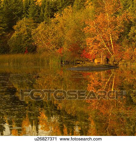 Reflection of Lake Autumn Colors View Large Photo Image Stock Image - Reflection of Lake Autumn Colors. Fotosearch