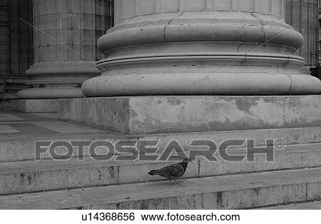 Stock Photograph - urban scenes - Paris France. Fotosearch