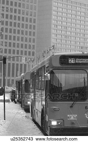 Winnipeg, Manitoba, Canada View Large Photo Image Stock Image - Winnipeg, Manitoba, Canada. Fotosearch