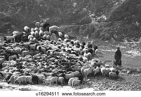 Tibet - winter 1993 View Large Photo Image Stock Image - Tibet - winter 1993. Fotosearch