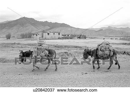 Tibet - winter 1993 View Large Photo Image Stock Photo - Tibet - winter 1993. Fotosearch