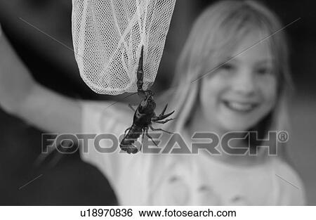 Young girl holding a net up with an insect hanging from it View Large Photo Image Stock Photograph - Young girl holding a net up with an insect hanging from it. Fotosearch