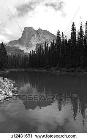 Lake surrounded with trees (black and white), Rocky Mountains, Canada View Large Photo Image Stock Image - Lake surrounded with trees (black and white), Rocky Mountains, Canada. Fotosearch