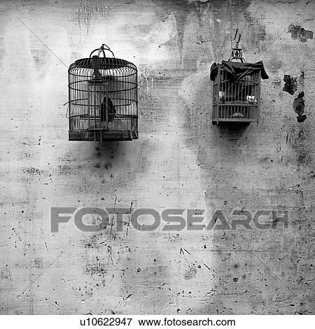 Stock Photo - Photographs of bird cages. Fotosearch