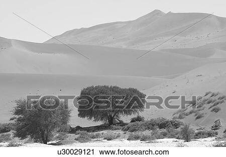 Stock Image - Sand Dunes of Sossusvlei - Namib desert, Namibia. Fotosearch
