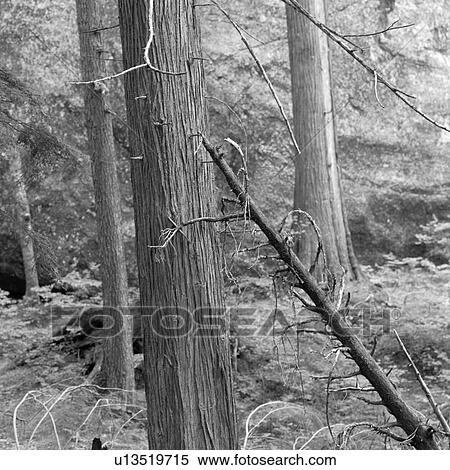 Stock Photography - Squamish. Fotosearch