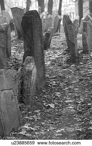Tomb stones at a Jewish establishment in Prague View Large Photo Image Stock Photo - Tomb stones at a Jewish establishment in Prague. Fotosearch