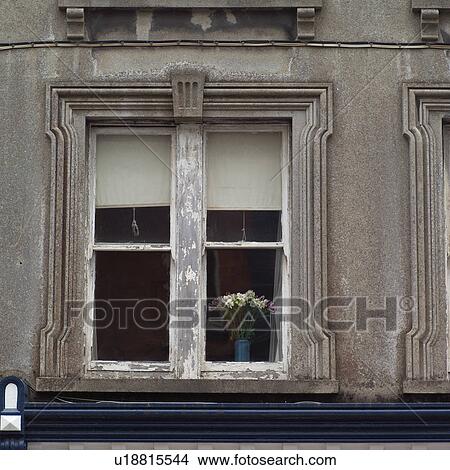 Flowers in window View Large Photo Image Picture - Flowers in window. Fotosearch