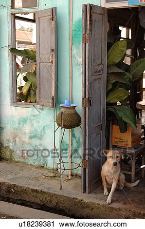 Stock Image - Dog in a doorway. Fotosearch