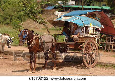 Stock Image - Horse pulling carriage. Fotosearch