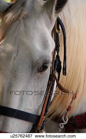 Stock Photo - Mexico - Mayan Riviera. Fotosearch