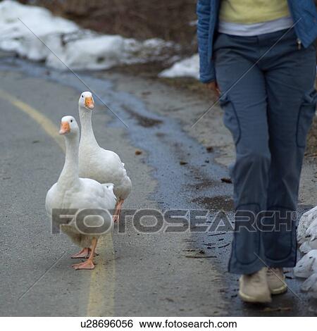 Nature trails View Large Photo Image Stock Photograph - Nature trails. Fotosearch
