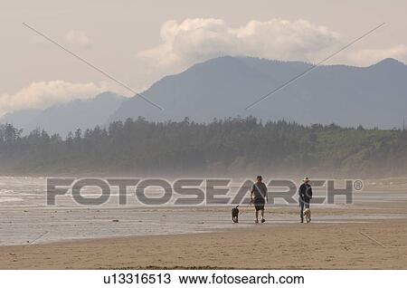 Stock Image - People walking their dogs along beach. Fotosearch