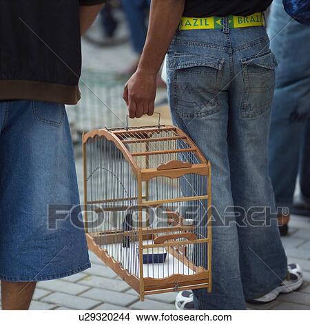 Picture - Rear view of a person holding a bird cage. Fotosearch