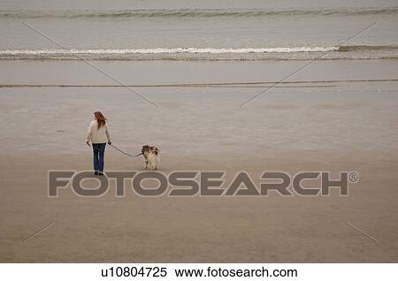Woman with dog on beach View Large Photo Image Stock Photography - Woman with dog on beach. Fotosearch