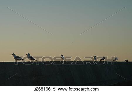 Gimli Manitoba View Large Photo Image Stock Photography - Gimli Manitoba. Fotosearch