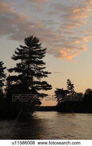 Lake of the Woods at twilight View Large Photo Image Stock Photo - Lake of the Woods at twilight. Fotosearch