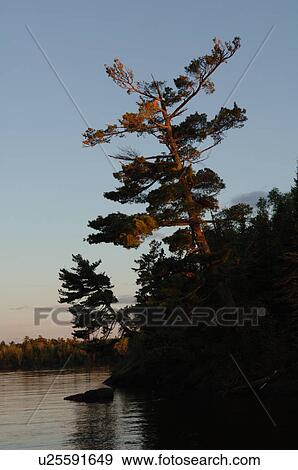 Stock Photo - Lake of the Woods at twilight. Fotosearch