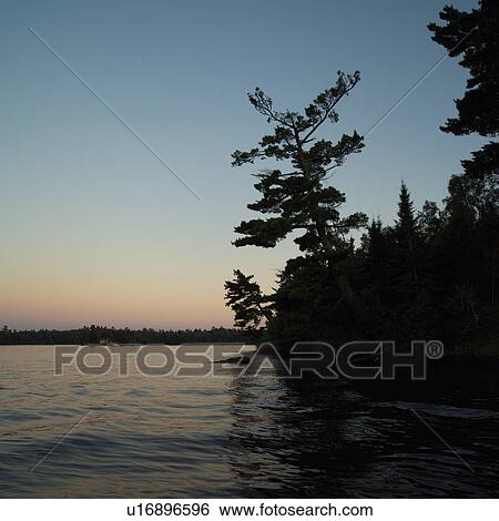 Lake of the Woods at Twilight View Large Photo Image Stock Photograph - Lake of the Woods at Twilight. Fotosearch