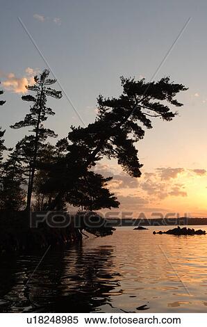 Lake of the Woods at twilight View Large Photo Image Stock Photography - Lake of the Woods at twilight. Fotosearch