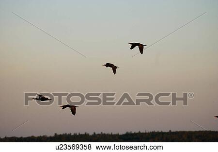 Stock Photo - Lake Scenes. Fotosearch