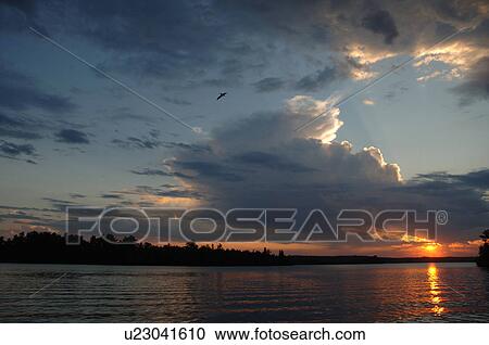 Sunlight through clouds at twilight View Large Photo Image Stock Image - Sunlight through clouds at twilight. Fotosearch