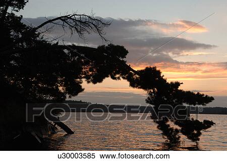 Twilight sky at Lake of the Woods View Large Photo Image Stock Photography - Twilight sky at Lake of the Woods. Fotosearch