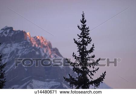 Sunrise - Banff, Alberta, Canada View Large Photo Image Stock Image - Sunrise - Banff, Alberta, Canada. Fotosearch