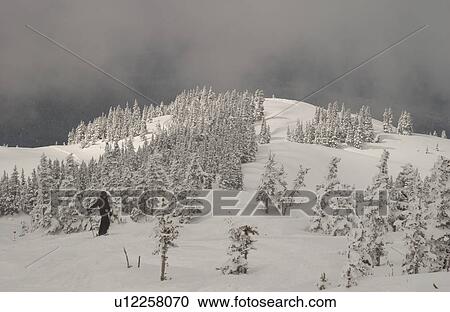 Whistler, B. C. Canada View Large Photo Image Stock Image - Whistler, B. C. Canada. Fotosearch