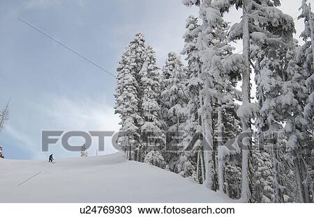 Stock Image - Whistler, B. C. Canada. Fotosearch