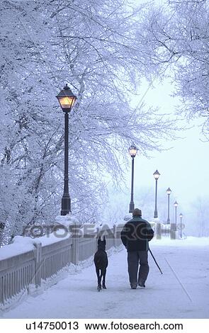 Stock Image - Winnipeg Manitoba, Canada Winter Scenes. Fotosearch