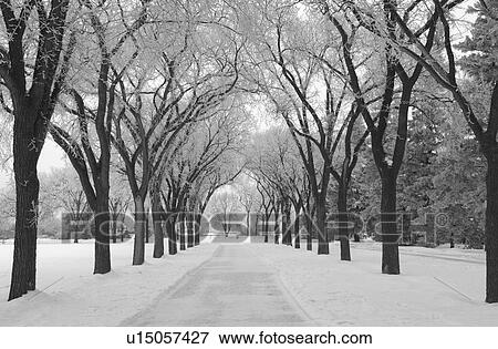 Stock Photo - Winnipeg Manitoba, Canada Winter Scenes. Fotosearch