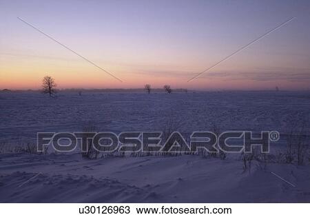 winter in Manitoba, prairie scene View Large Photo Image Stock Image - winter in Manitoba, prairie scene. Fotosearch