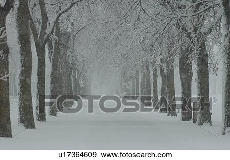 Stock Photo - Winter Scenes - Canada. Fotosearch