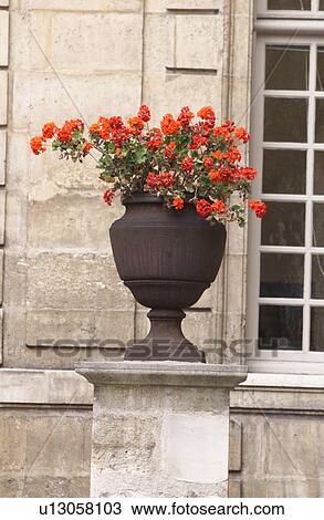 Stock Image - Flower pot. Fotosearch