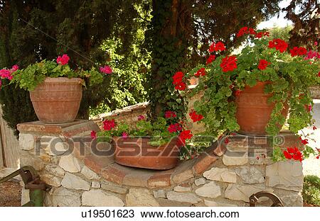 Flower Pots View Large Photo Image Stock Image - Flower Pots. Fotosearch