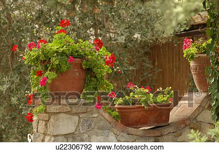 Stock Image - Flowerpot. Fotosearch