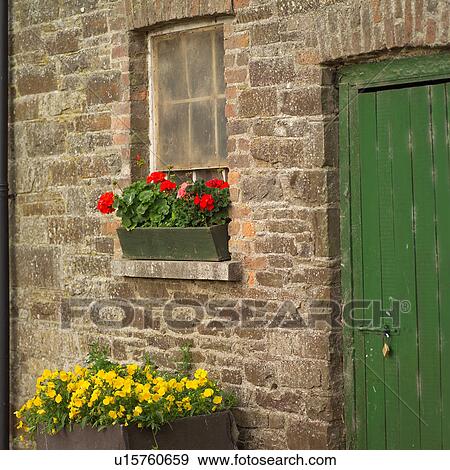 Flowers Outside Home View Large Photo Image Stock Photo - Flowers Outside Home. Fotosearch