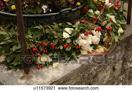 Flowers View Large Photo Image Stock Image - Flowers. Fotosearch