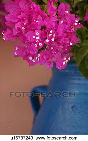 Stock Image - Greek Island of Santorini. Fotosearch