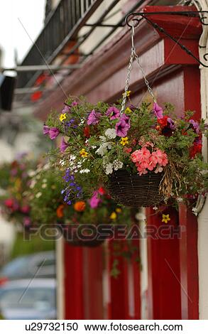 Hanging Flower Basket View Large Photo Image Stock Image - Hanging Flower Basket. Fotosearch